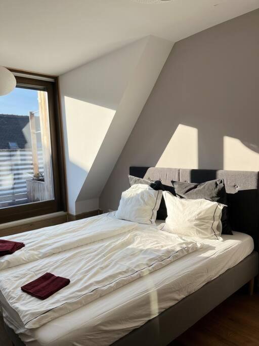 Spacious With Shared Jacuzzi/private Terrace Apartament *