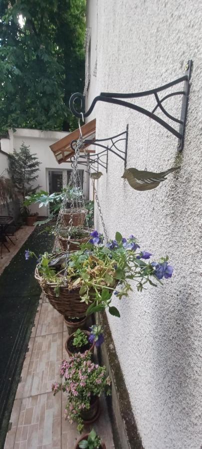 Buda Trio Appartement *