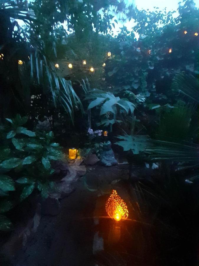 House W Little Tropical Garden Apartamento