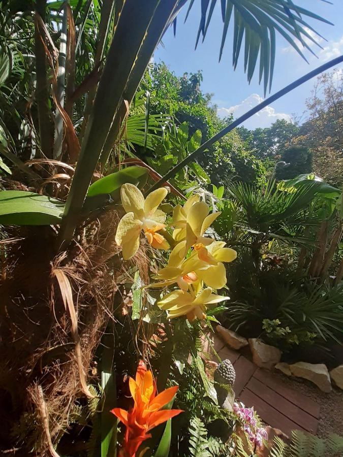 Apartamento House W Little Tropical Garden *