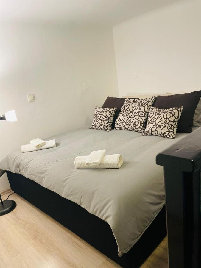 Hegedu 5 , Stylish Apartament
