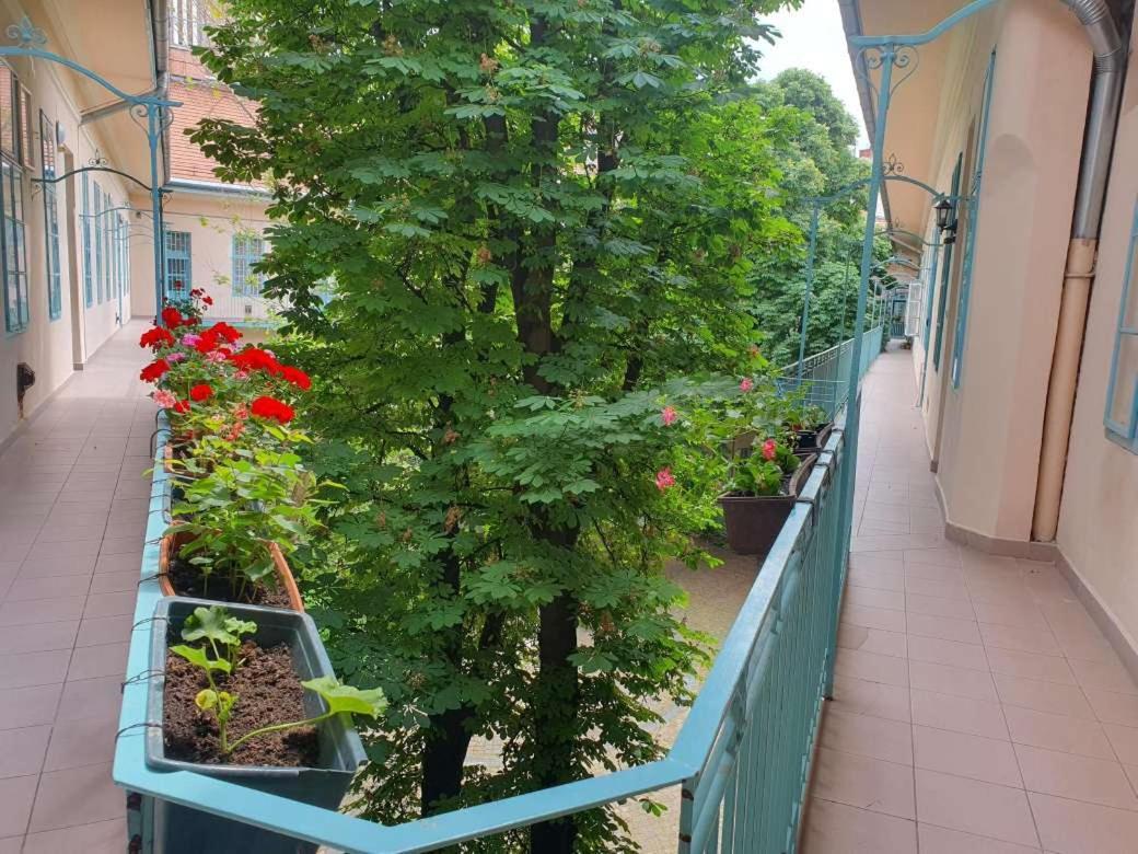 Gr3 Budapest