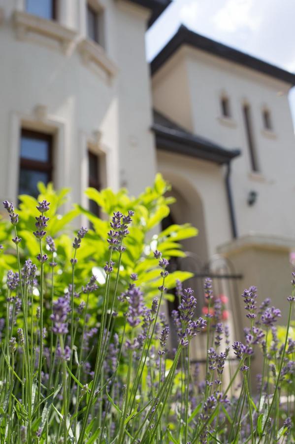 Kuria With Free Parking Apartment Budapest