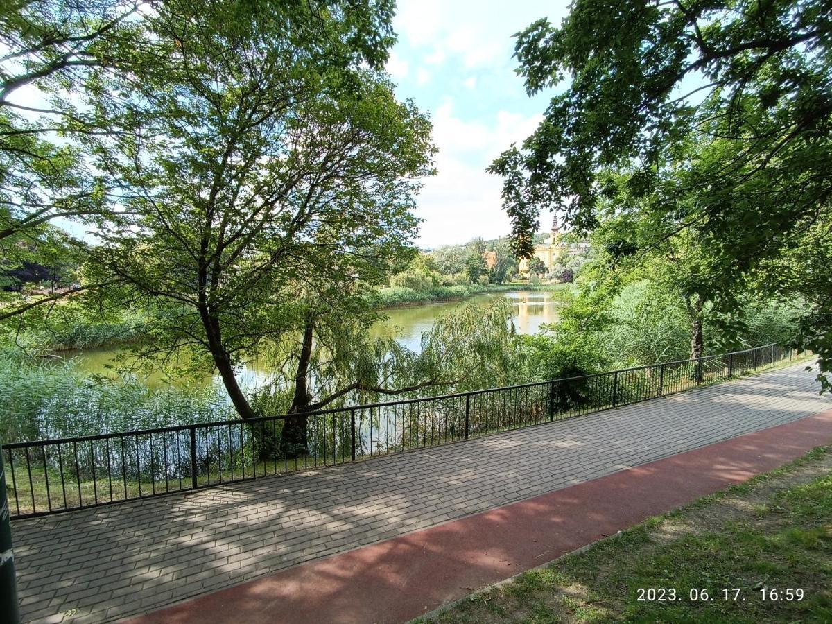 Baratsagos, Csendes, Napfenyes Lakas. Apartmán Budapešť