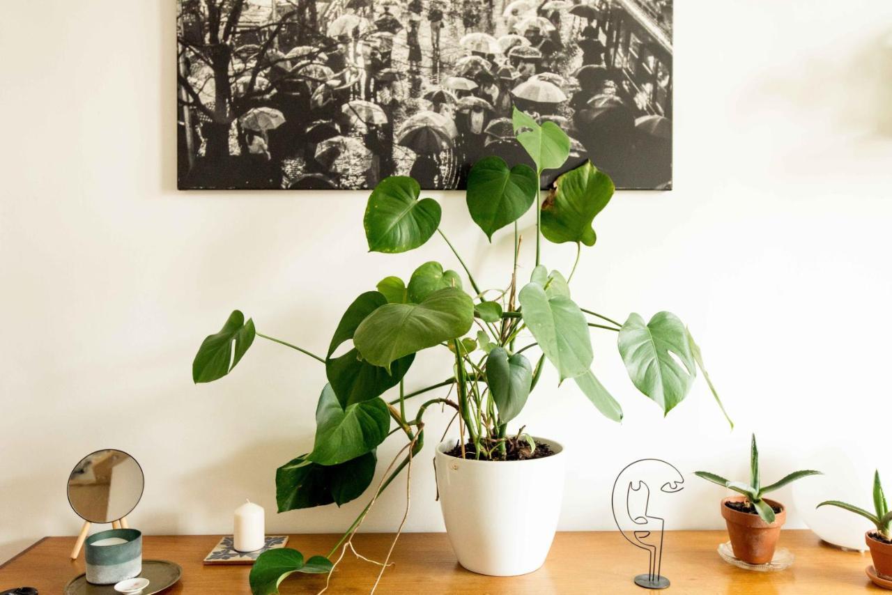 Dohany Design Lägenhet
