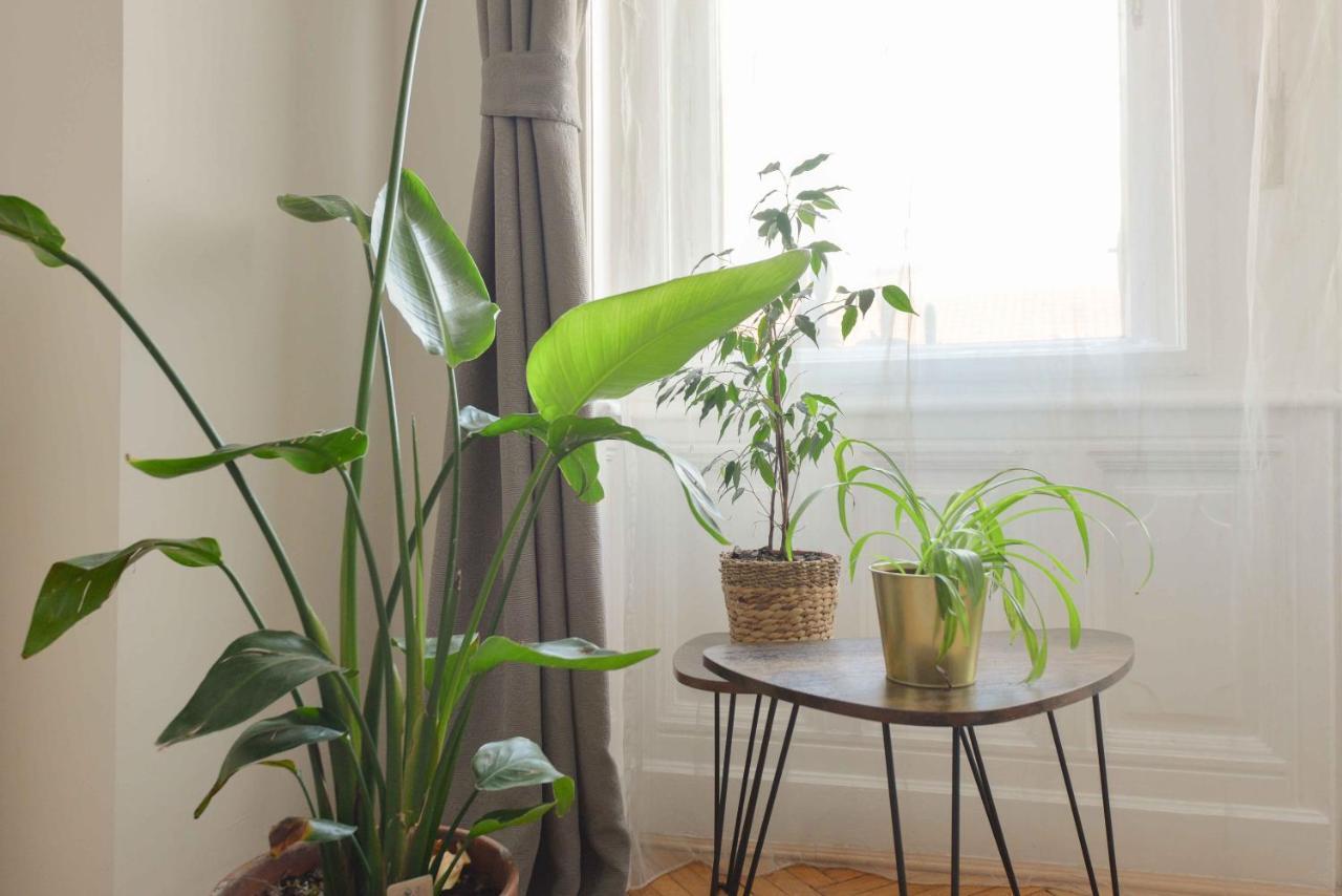 Dohany Design Lägenhet *