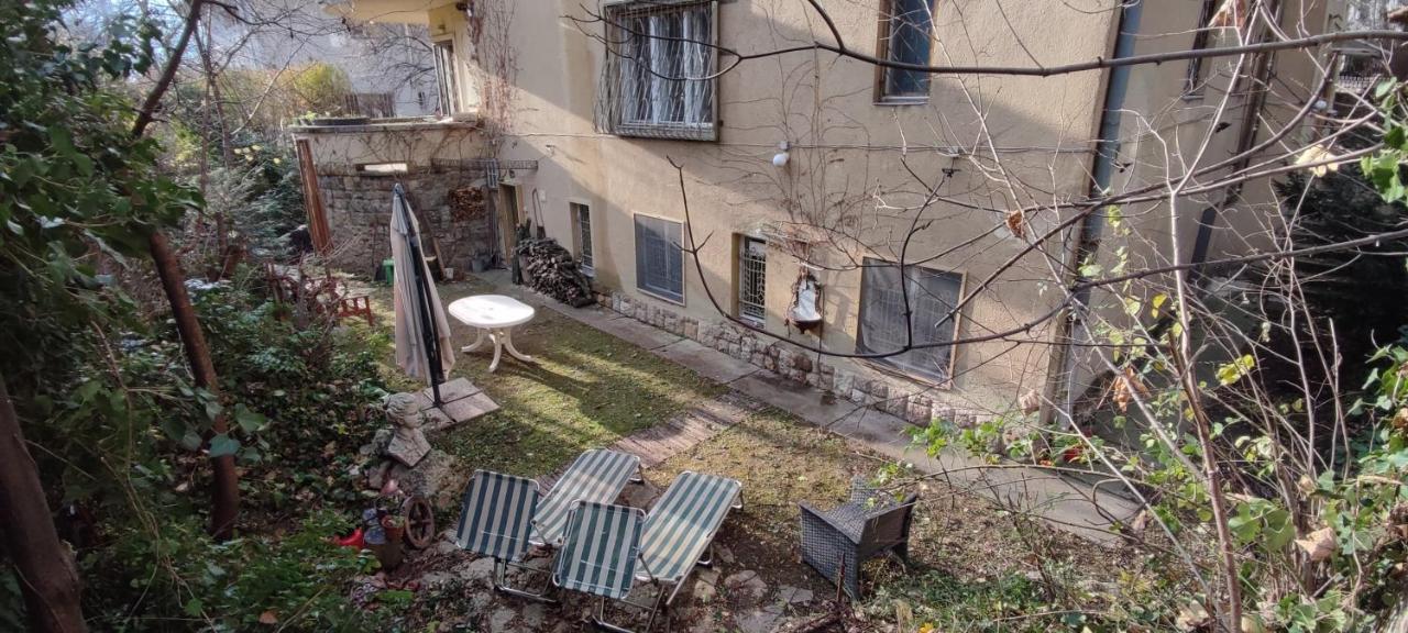 Hedgehog Shelter Budapest