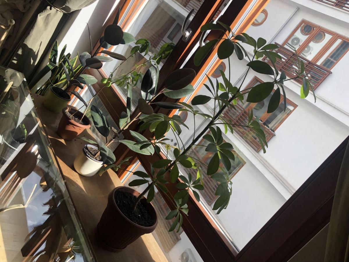 The Knight Boutique With Balcony Apartamento Budapest