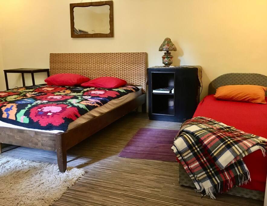 Vintage Studio Apartment, Garden And Free Parking Lejlighed *