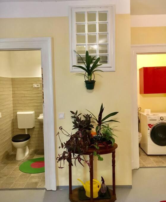 Lejlighed Vintage Studio Apartment, Garden And Free Parking Budapest