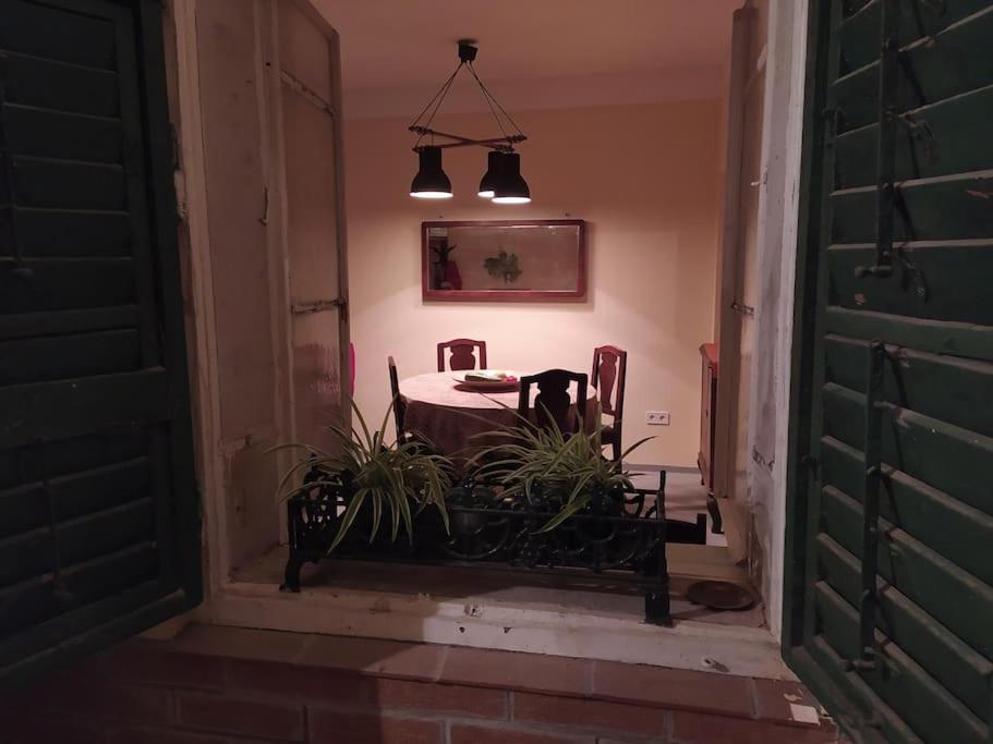 Vintage Studio Apartment, Garden And Free Parking