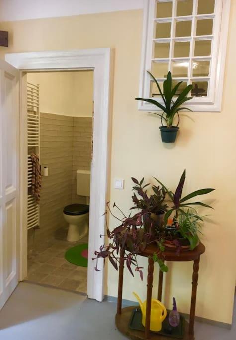 Vintage Studio Apartment, Garden And Free Parking Budapest