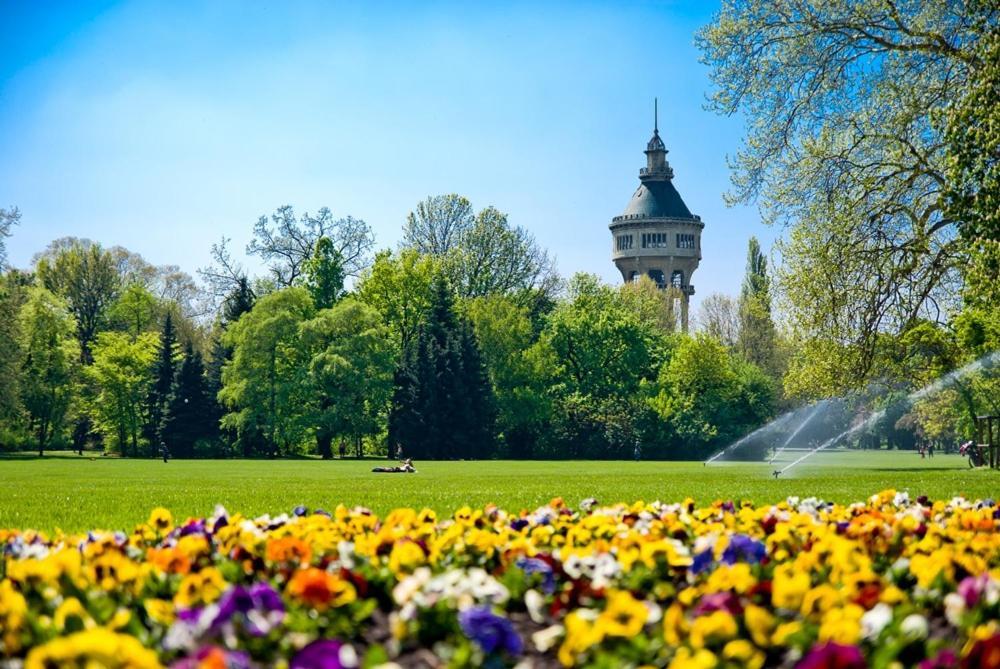 Island (adults Only) Hostel Budapest