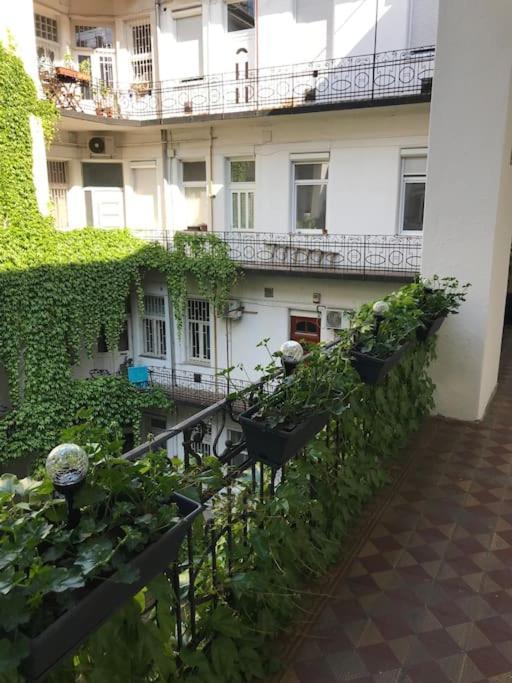 Apartment Park Oasis: Modern Near Szechenyi Bath