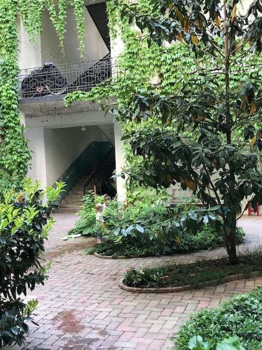 Apartment Park Oasis: Modern Near Szechenyi Bath Budapest