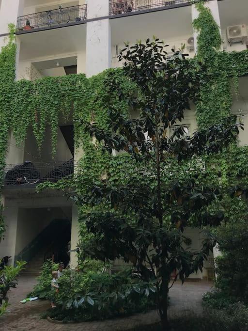 Lägenhet Near Park Only 5 Minutes Walk , Where Find The World Famous Szechenyi Thermal Bath Spa, Capital Circus , Museums The Is Modern And Newly Renovated ,in A Quiet And Peaceful Oasis With Ac ,smart Tv, High Speed Internet Budapest