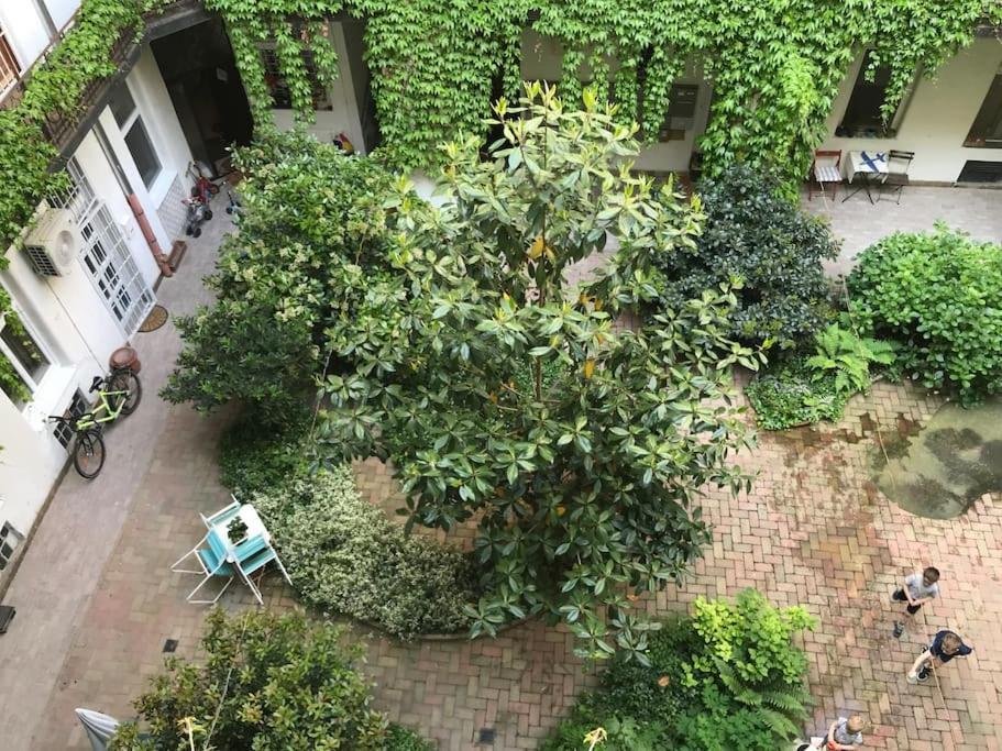 Park Oasis: Modern Near Szechenyi Bath Apartment Budapest