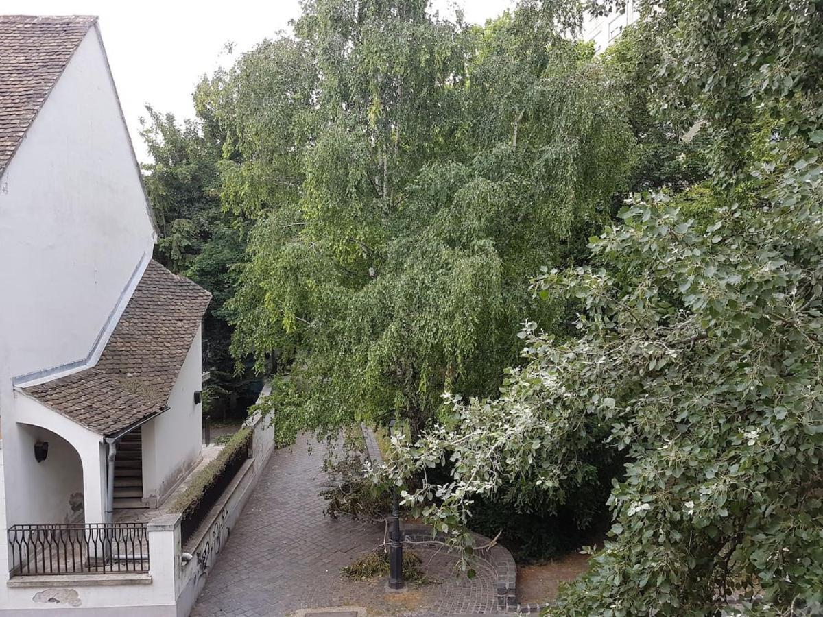 Stylish Historic Flat For 4 In Heart Of Oldbuda Lejlighed Budapest