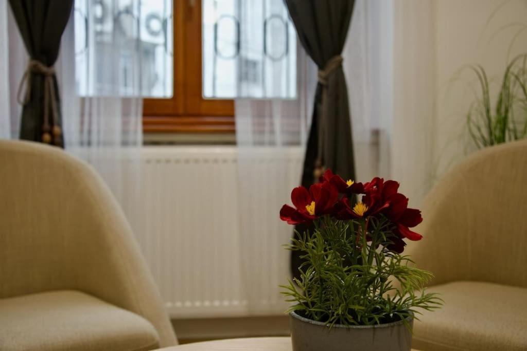 Apartamento Standard By Hi5- Podmaniczky Street