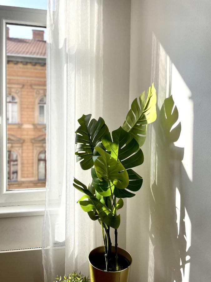 Eotvos 25 * Budapest