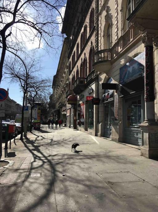 Downtown Island Of Peace By Nw Apartman