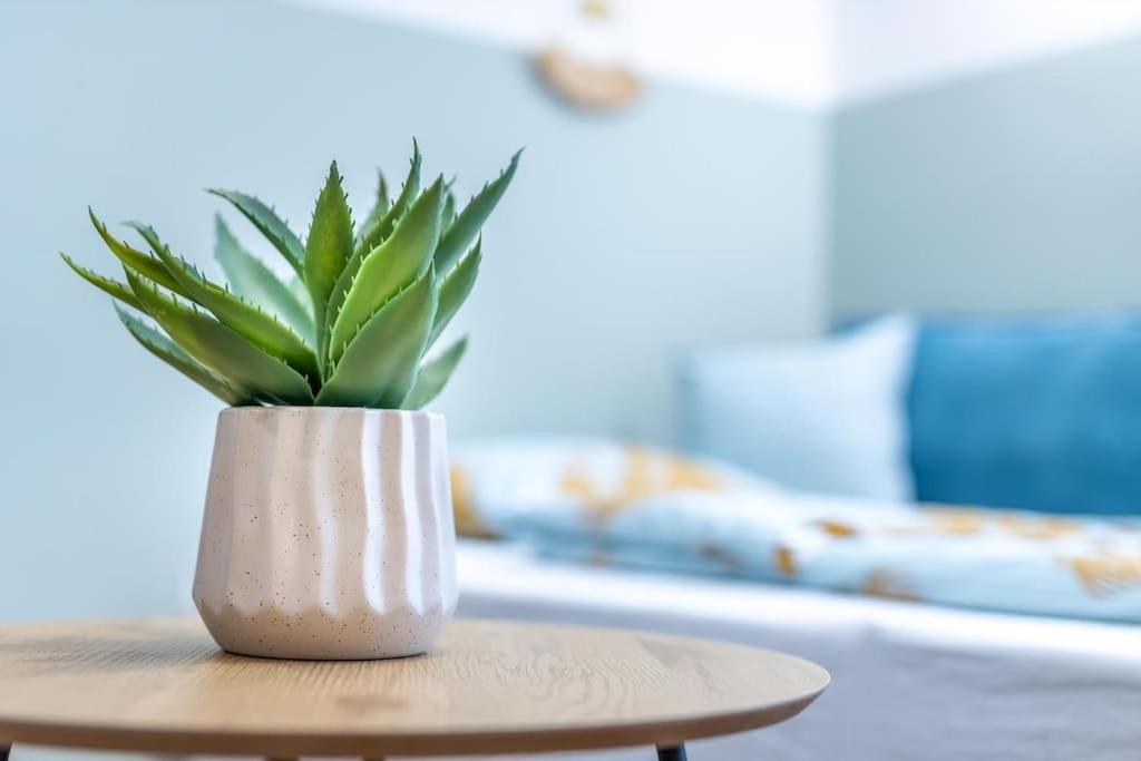Apartamento Jade In Downtown Dob27 *