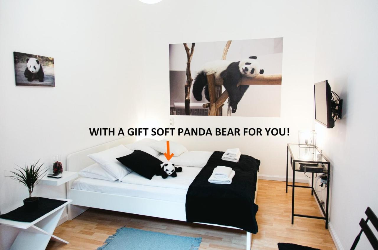 Lazy Panda * Budapeszt