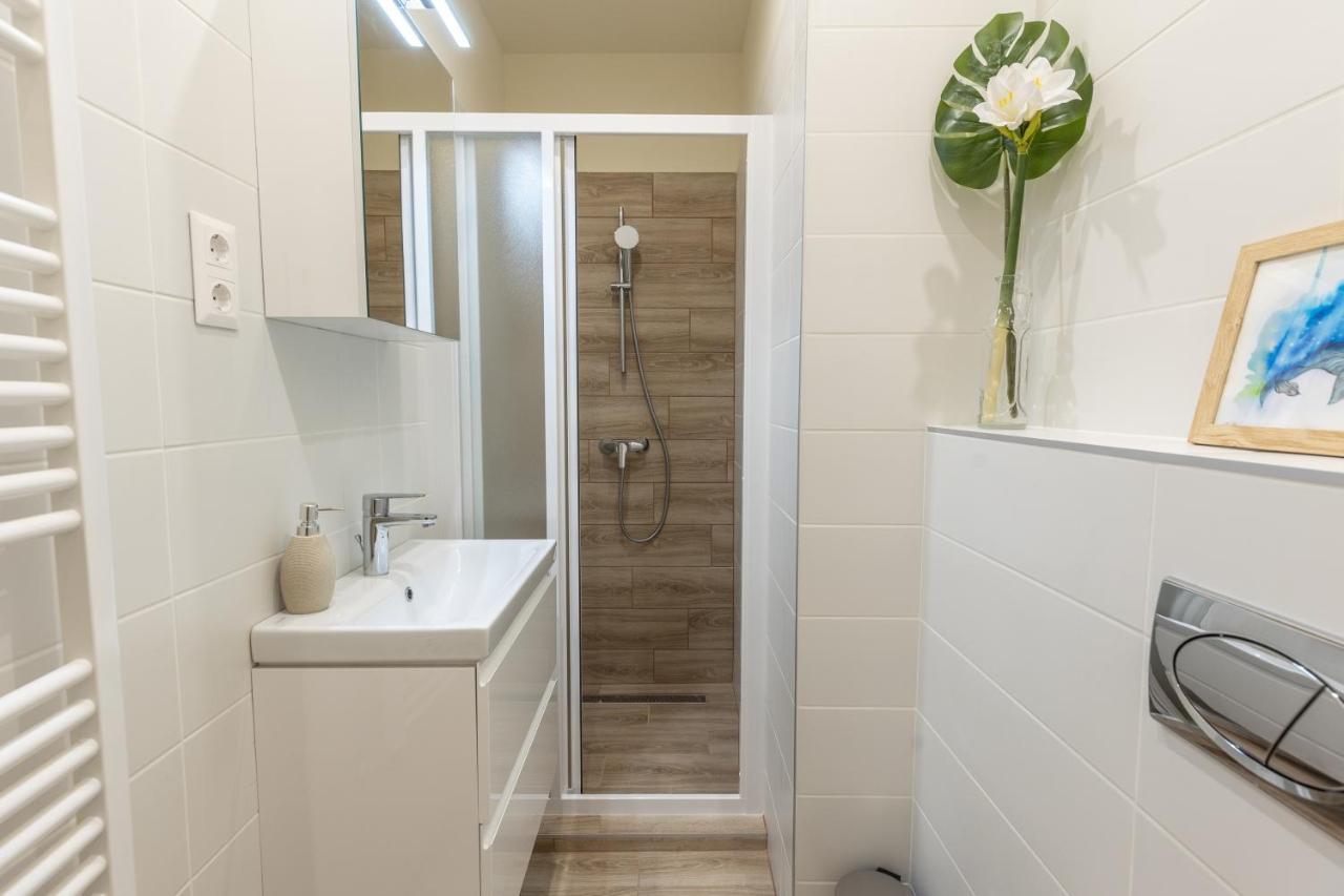 Comfort Zone Apartment