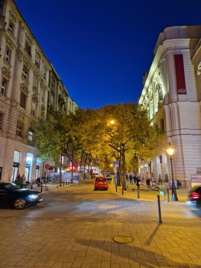 Apartman New 1bdr Modern Bauhaus Flat Budapest