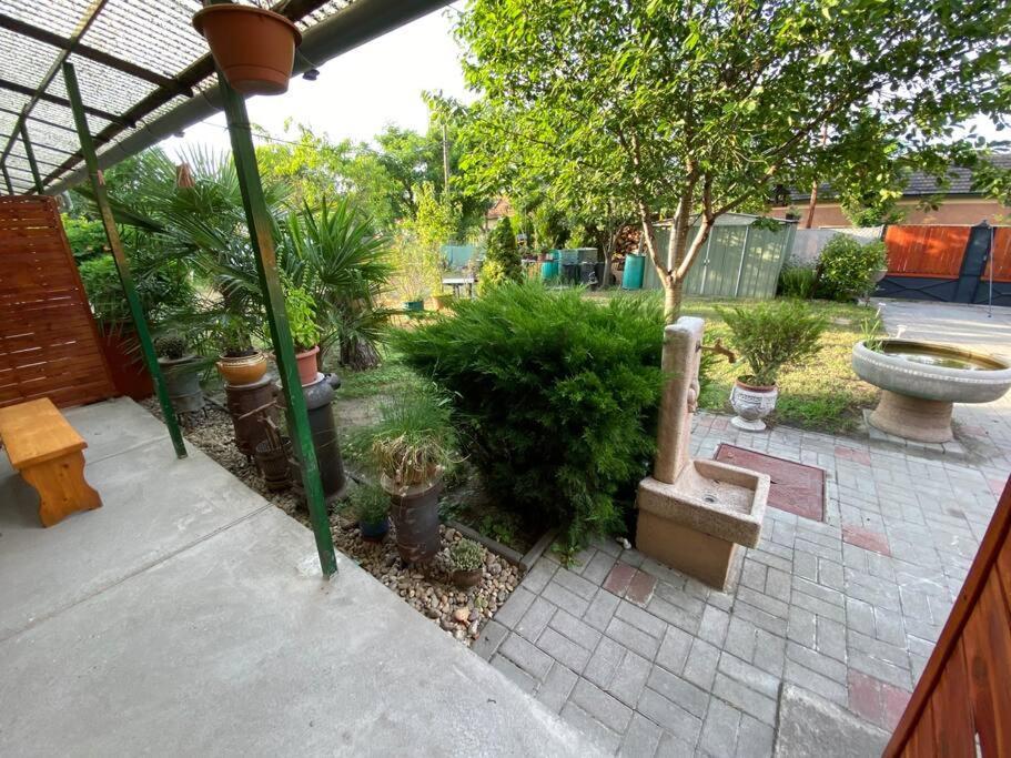 Vasmacska Apartman