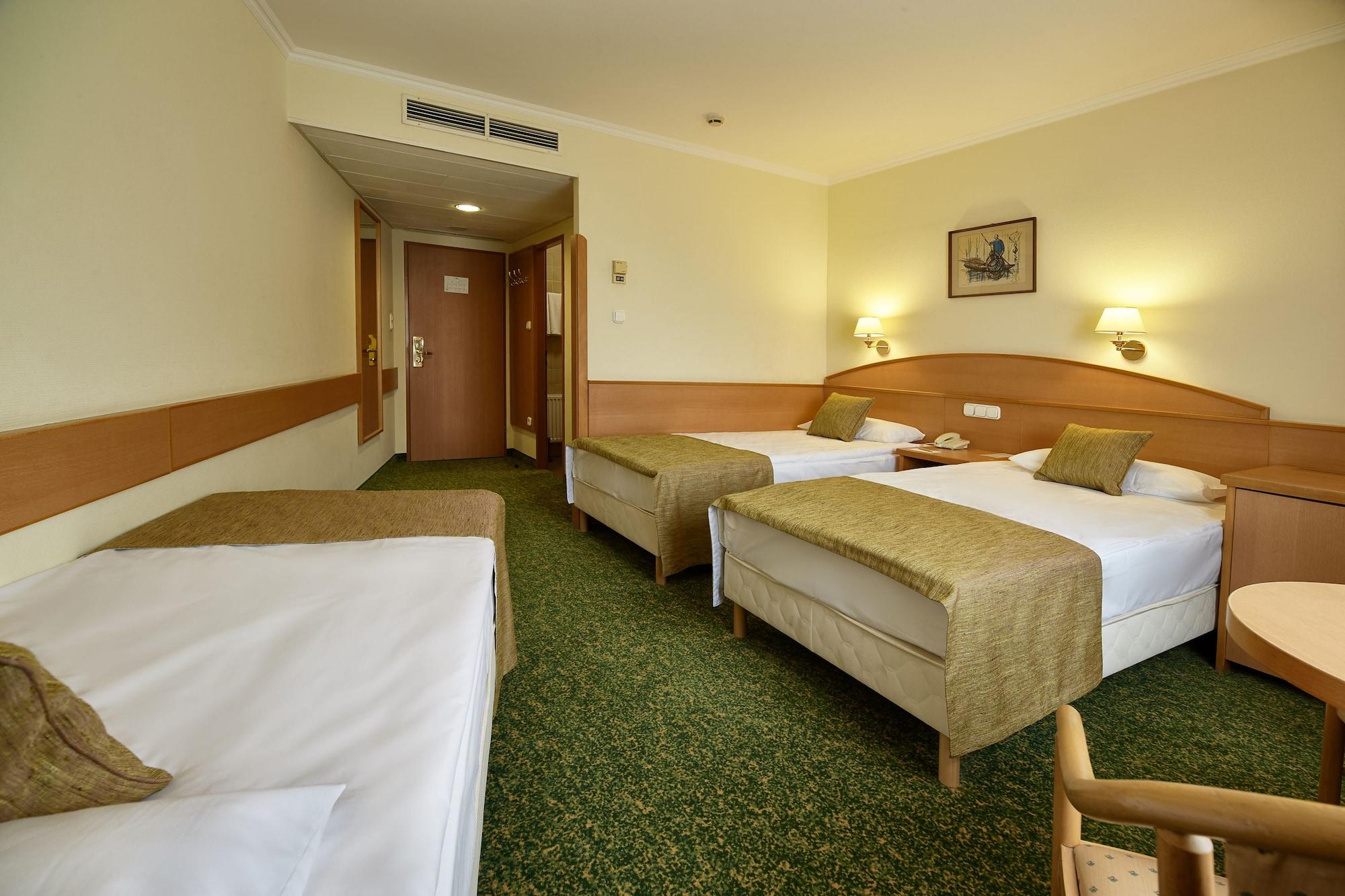 Danubius Erzsebet City Center 3*