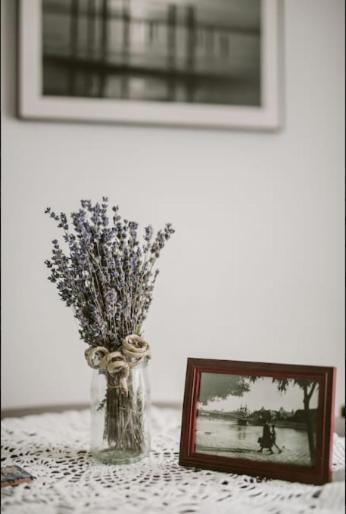 Appartement V41 Vaci