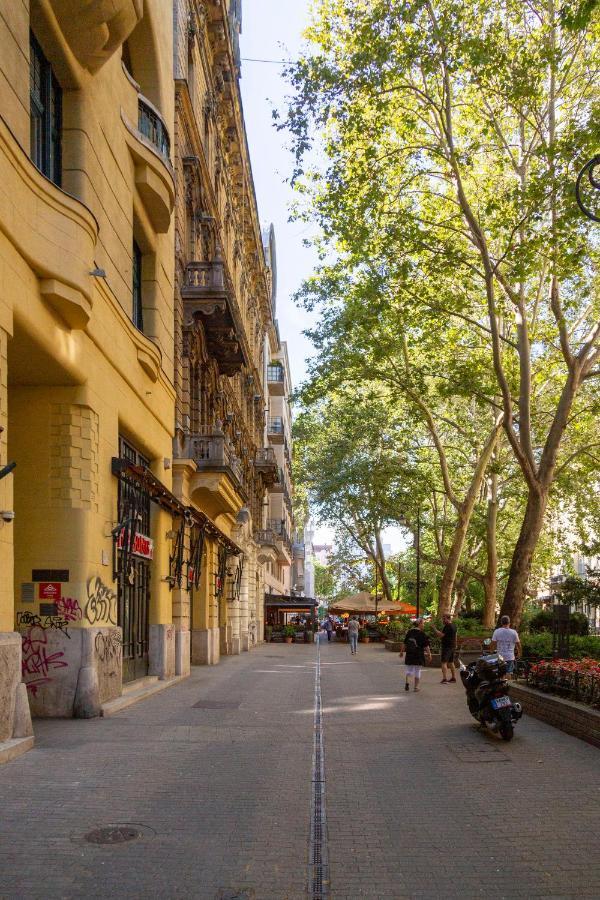 Luxurious & Spacious Downtown In Liszt Ferenc Square