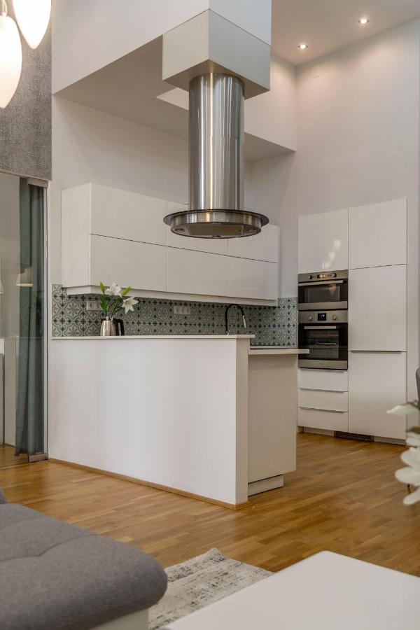 Luxurious & Spacious Downtown In Liszt Ferenc Square *