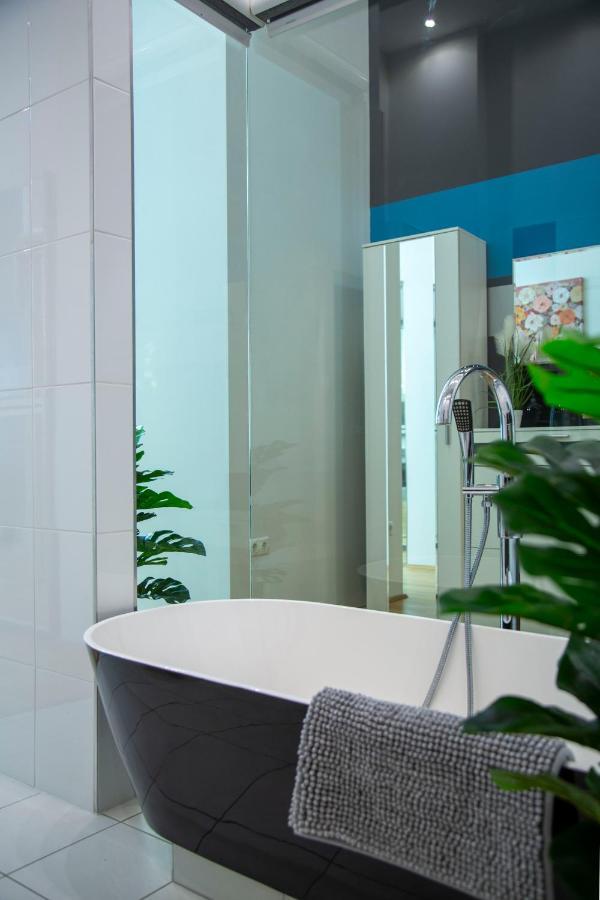 Luxurious & Spacious Downtown In Liszt Ferenc Square *