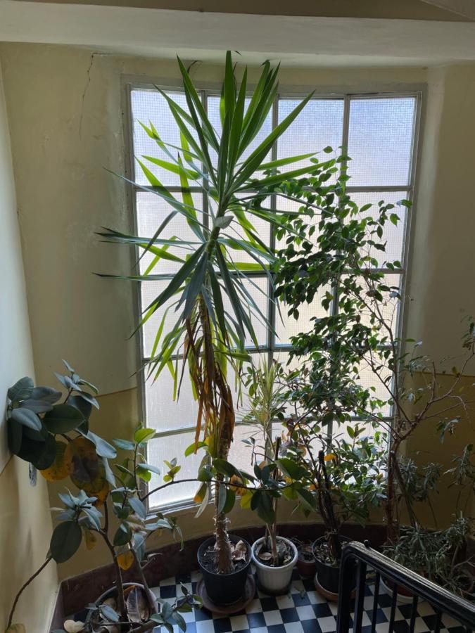 5 Apartamento *