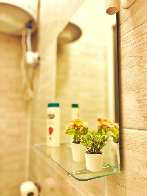 Studio Flat Apartment