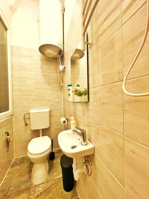 Studio Flat Apartment