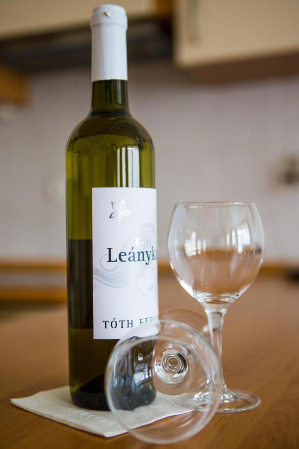 Alloggio in famiglia Flat At The Danube With Wellness *