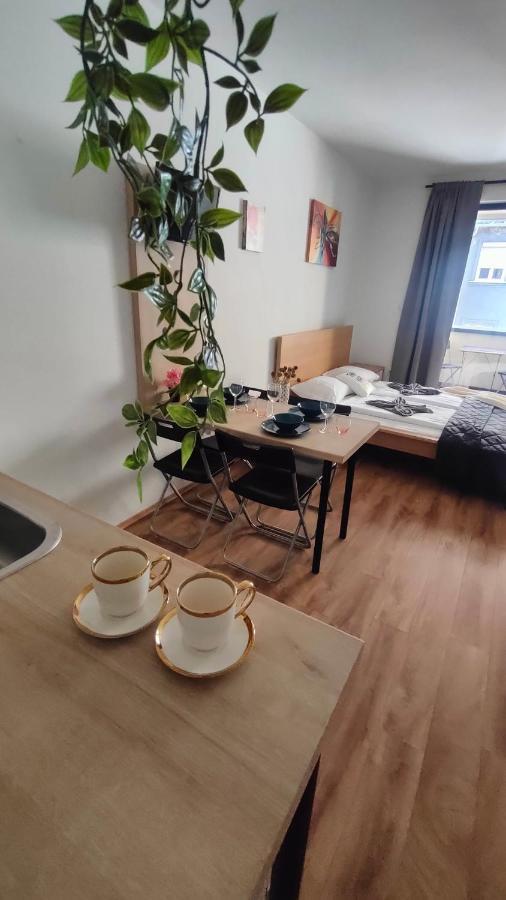 Super Cozy & Apartment *