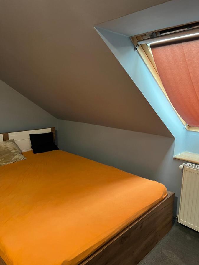 Bianka & Car Rent Hostal *