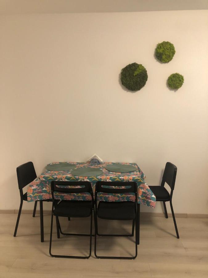 Apartament Tolnai
