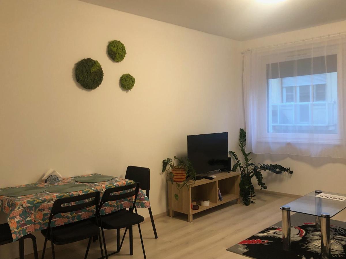 Tolnai Apartament
