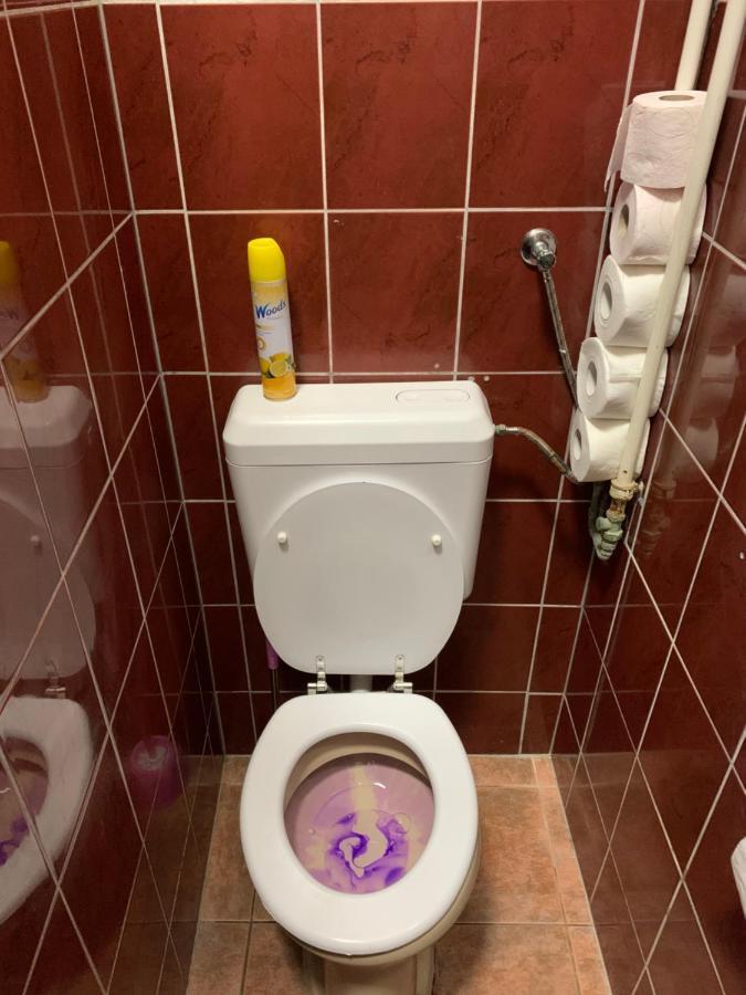 Carpe Noctem Hostal