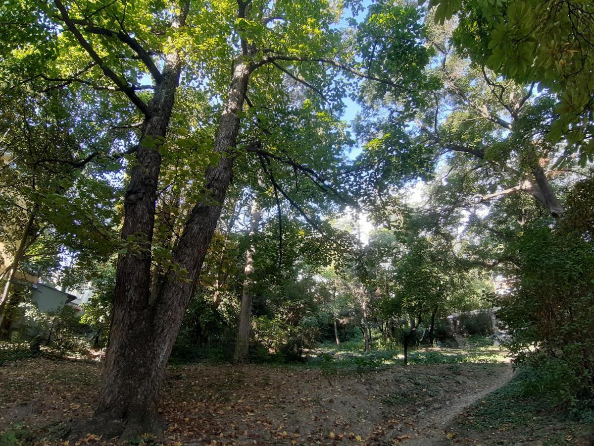 Appartamento Hill *