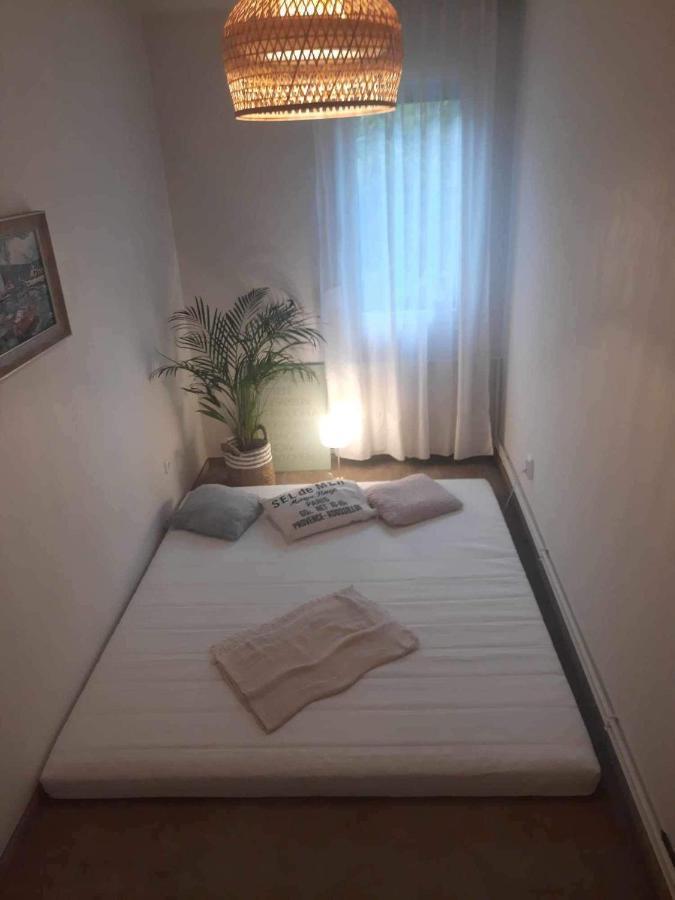 Luxury Suny Flat With Excellent Location