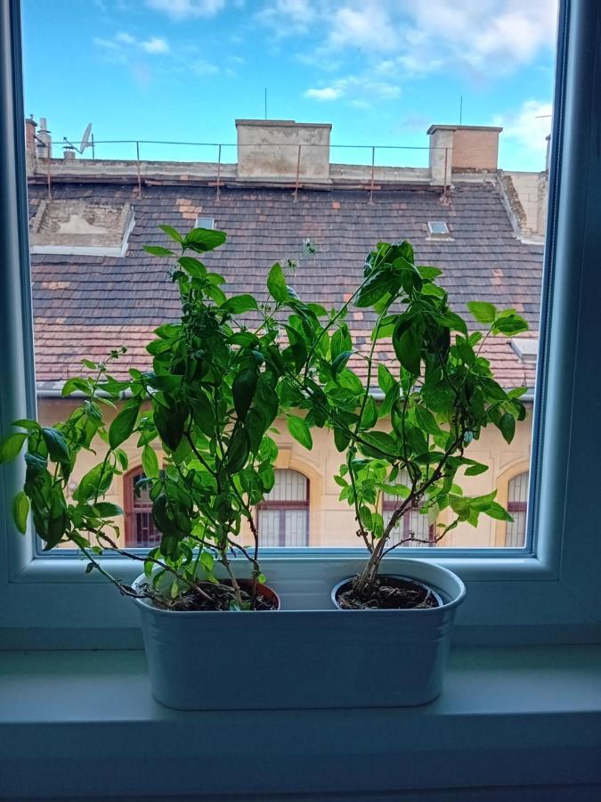 Apartamento Octopus