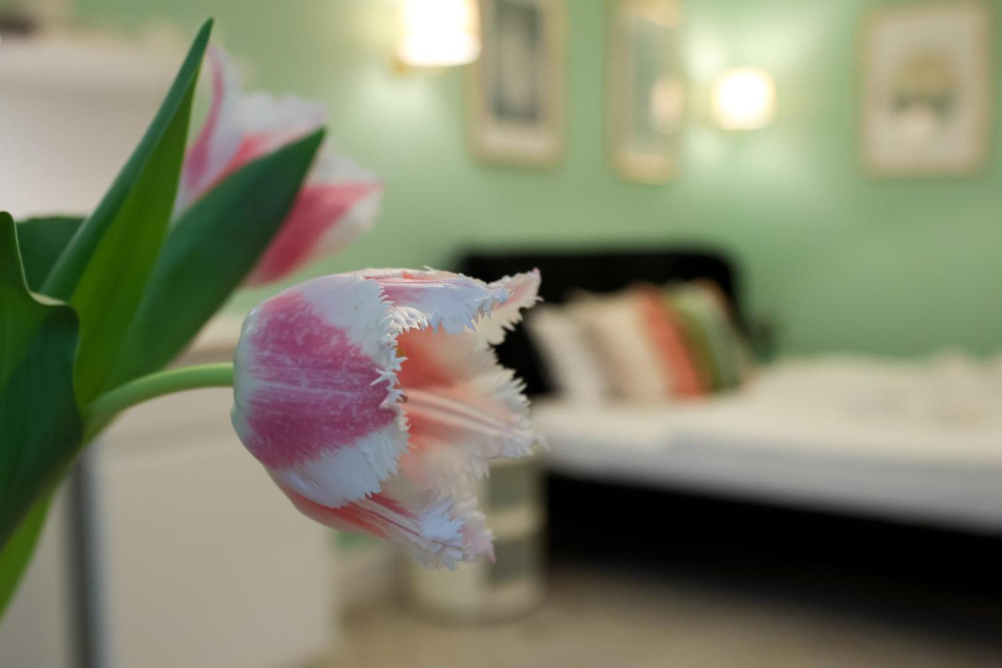 Ozone Silver&gold Appartement Budapest