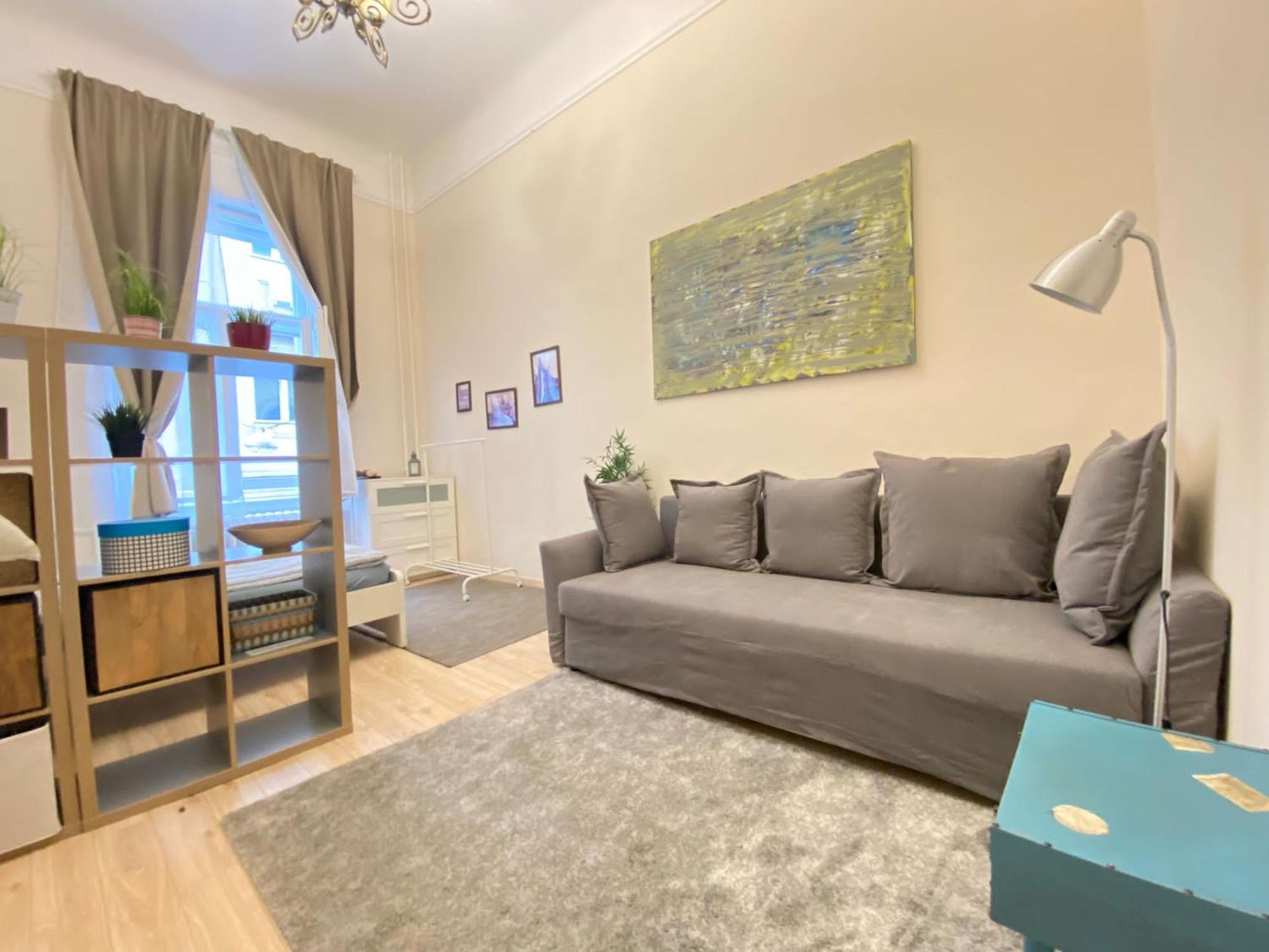 Wesseleny Near Synagogue With Ac After Renovation Apartment Budapest