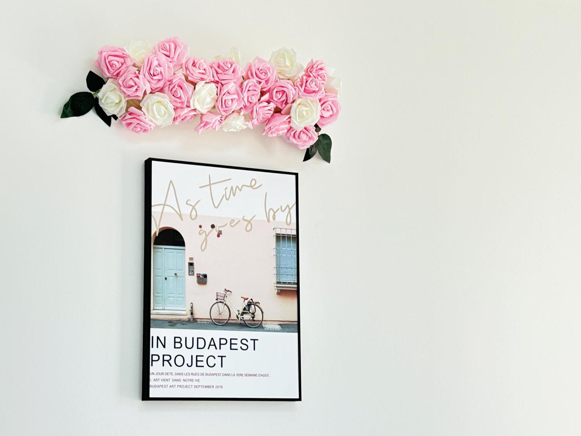 Ani's Newly Built Budapest